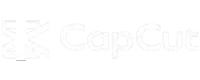 logo capcut template