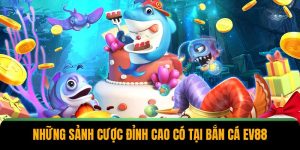 nhung sanh cuoc dinh cao co tai ban ca ev88 1