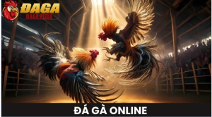 daga4