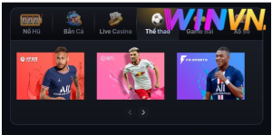 winvn 1