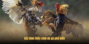 Screenshot 2026 04 11 205058